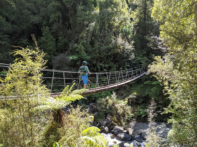 Paparoa Track Shuttles - Paparoa Track Shuttles, 12 Owen Street, Punakaiki 7873, New Zealand