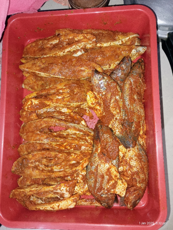 Mysuru Fish Tawa Fry Kabab Adda - Mysuru Fish Tawa Fry Kabab Adda Sayyaji Rao Rd, Tilak Nagar, Mysuru, Karnataka 570001, India