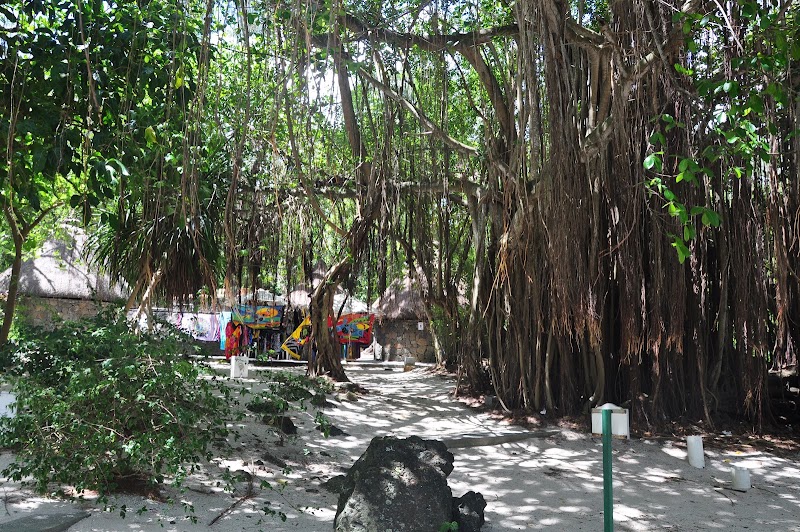 Ile aux Cerfs beach - Ile aux Cerfs beach, стров Серф о., PRM4+67V, Beau Champ, Mauritius