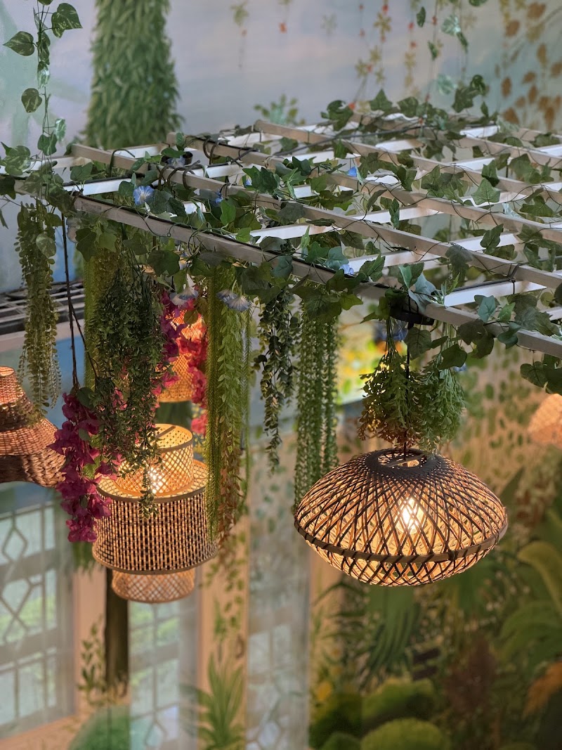 Oasis in Jaipur - Oasis in Jaipur 52, Lane number 2, Marudhar Nagar, Ajmer Rd, Heera Nagar, DCM, Jaipur, Rajasthan 302021, India
