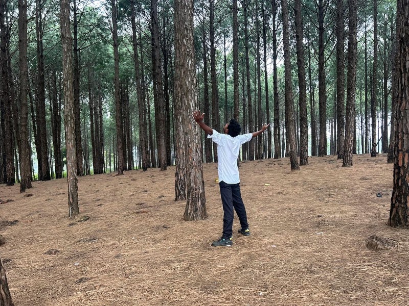 Netarhat Forest Rest House - Netarhat Forest Rest House, F7HG+C6, Netarhat, Jharkhand 835218, India