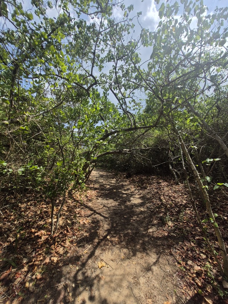 Kurusadai island - community based Eco tourism - Kurusadai island - community based Eco tourism, 765C+8G, Pamban, Tamil Nadu 623529, India