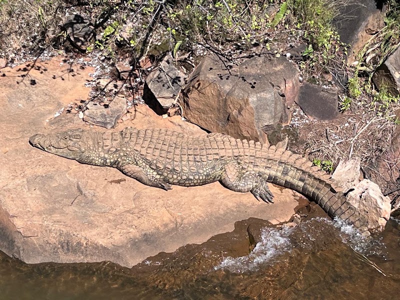 Blyde Canyon Safaris - Blyde Canyon Safaris, Byderivierpoort Dam, 1380, South Africa
