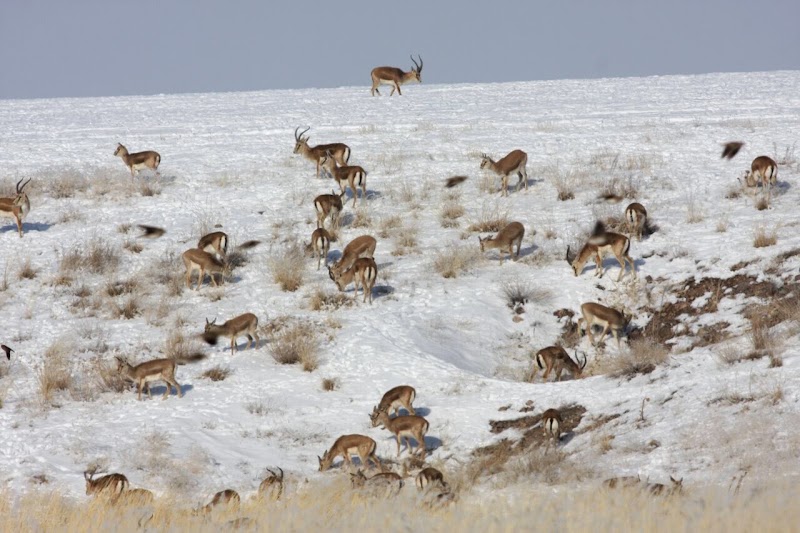 موسسه فیلمسازی فرافیلم - موسسه فیلمسازی فرافیلم, MF9P+2VH, Zanjan, Zanjan Province, Iran