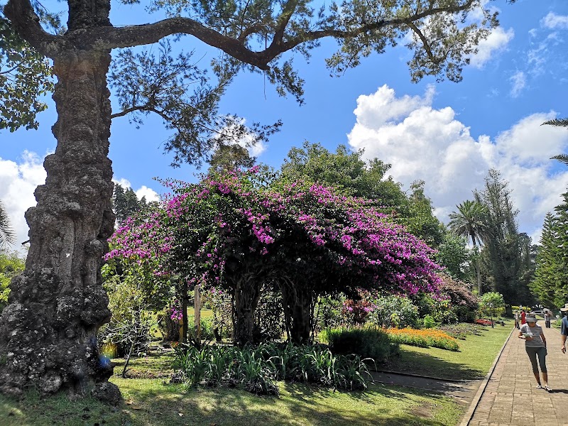 Victoria Park - Nuwara Eliya - Victoria Park - Nuwara Eliya, XQ99+J7G, PBC Hwy, Nuwara Eliya 22200, Sri Lanka