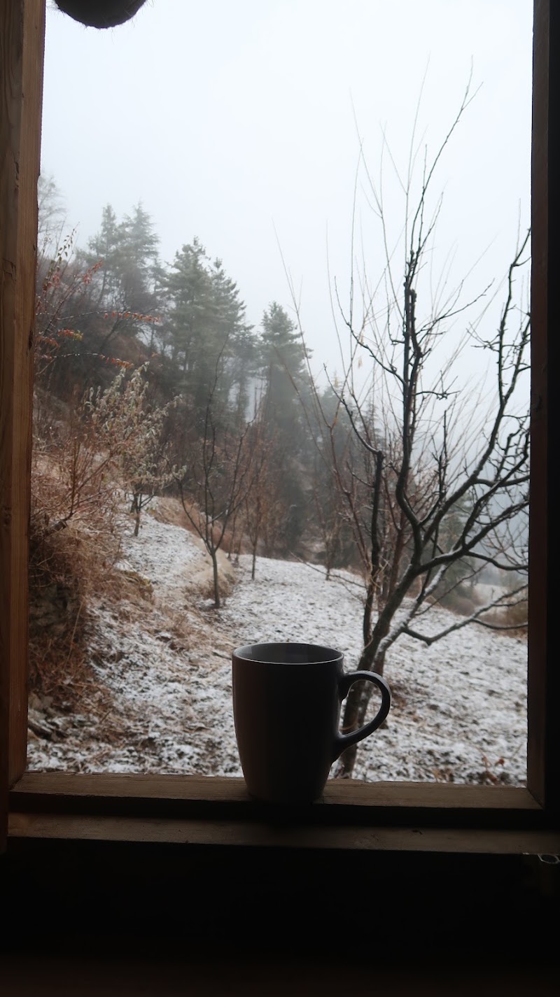 Yathra Lahari FarmStay - Yathra Lahari FarmStay H. NO75/1,Dhardi, J8Q6+29Q Pujali P. O, Bala Gad, Jibhi, Himachal Pradesh 175123, India