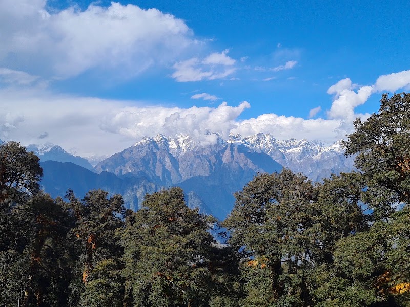 Gurson Bugyal - Gurson Bugyal, GH67+J67, Auli Laga Salude, Uttarakhand 246443, India