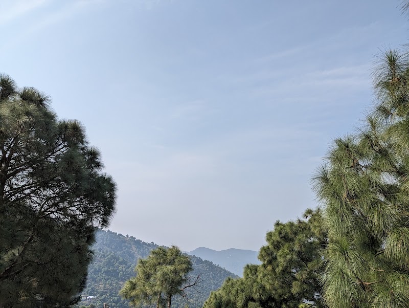 Santila Countryside Homestay - Kasauli - Santila Countryside Homestay - Kasauli, Santila Himalaya, PO, Garkhal - Madhiyana Rd, Village Ganol, Kasauli, Himachal Pradesh 173233, India