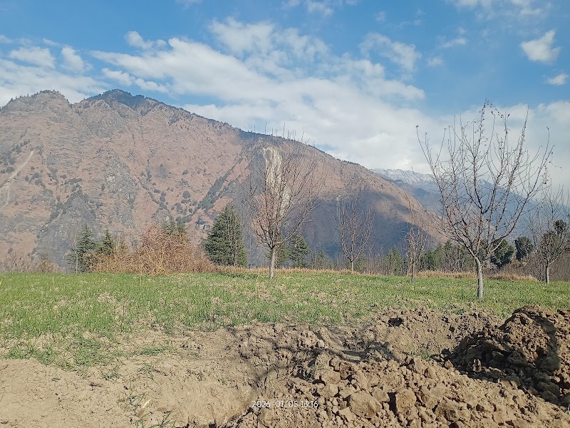 Skyline Orchards - Skyline Orchards, Q88R+CF, Sarahan, Manyashi, Himachal Pradesh 175134, India