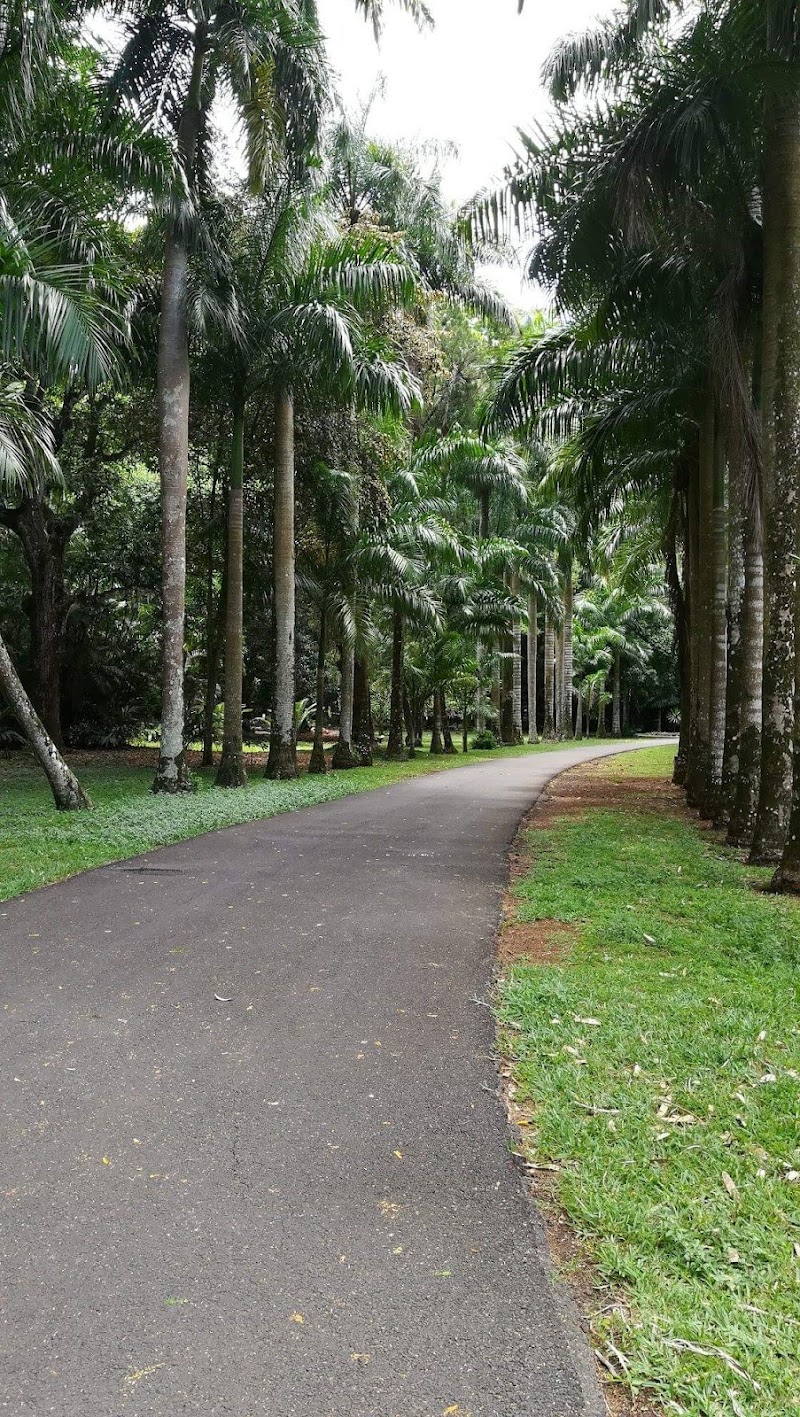 Pamplemousses - Pamplemousses, Mauritius