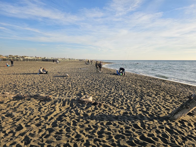 Stabilimento balneare dell'Esercito - Base Logistica di Fregene - Stabilimento balneare dell'Esercito - Base Logistica di Fregene, Lungomare di Ponente, 49, 00054 Fregene RM, Italy