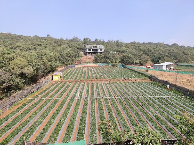 Flagship 67128 Ashok Villa - Flagship 67128 Ashok Villa, 1 mapro, Panchgani - Mahabaleshwar Rd, Mahabaleshwar, Bhuteghar, Maharashtra 412806, India