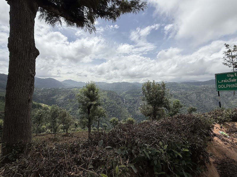 Travel2ooty - Travel2ooty EMA Complex, Above Vishal Book Center, Near Atc Bus stand Manikoondu, Upper Bazar, Ooty, Tamil Nadu 643001, India
