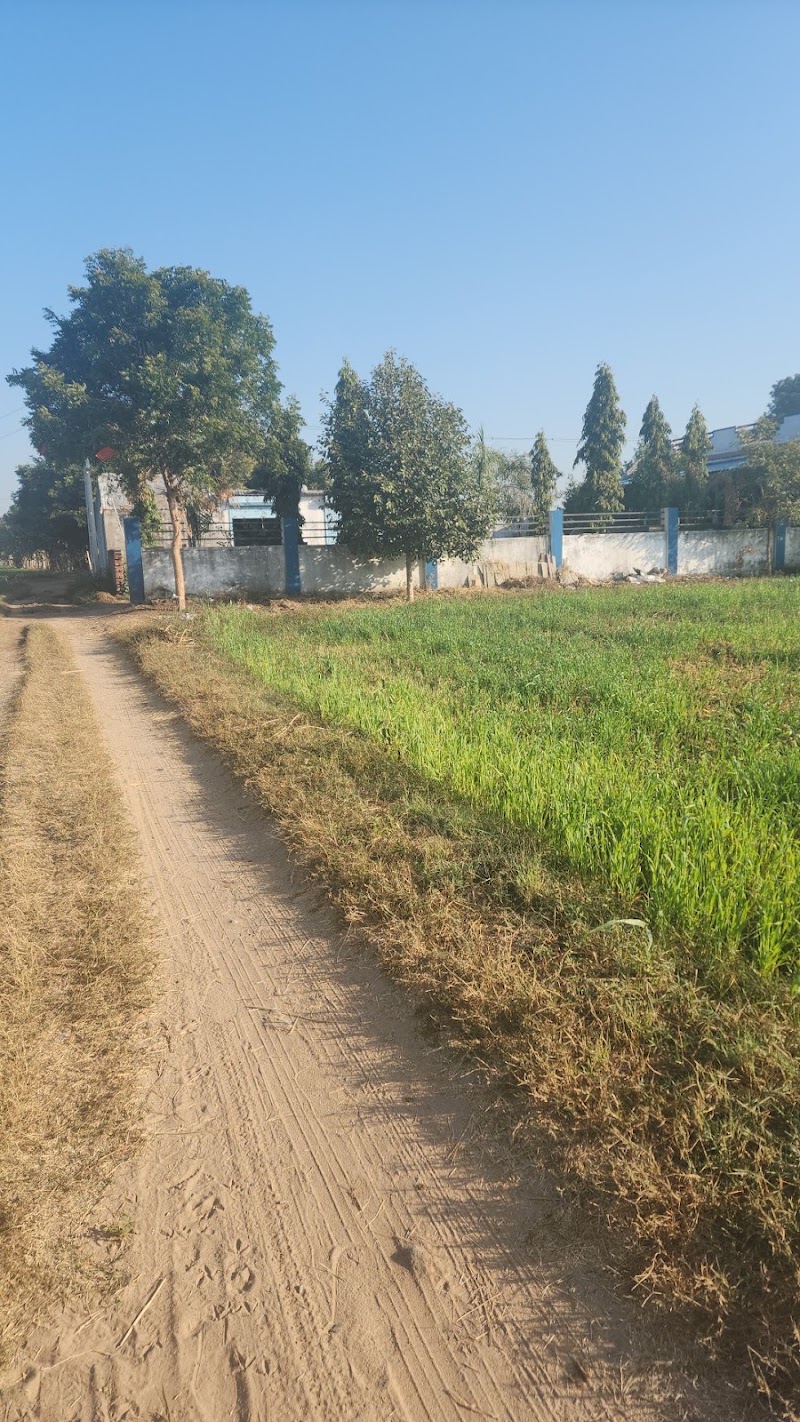 Jodh farm - Jodh farm, 7Q69+QHJ, Dhanap, Gujarat 382321, India