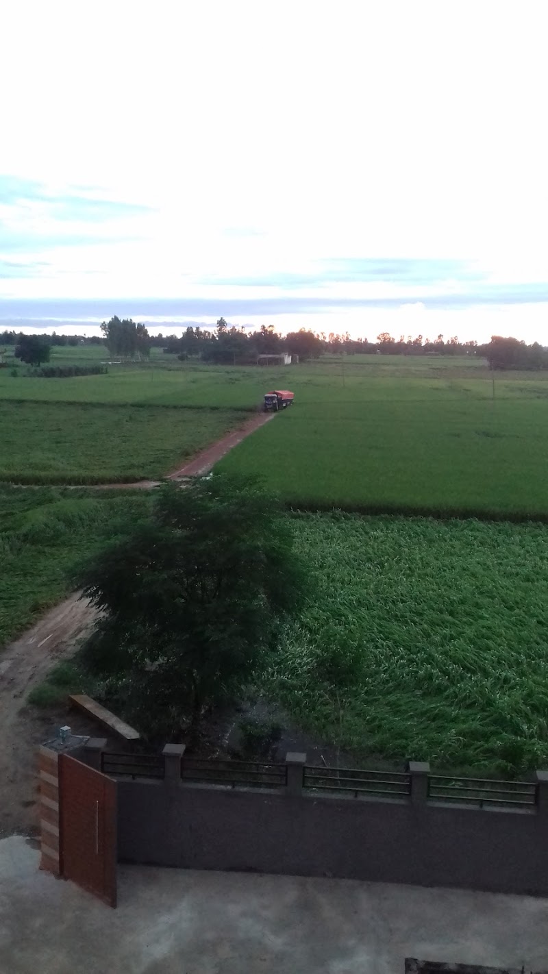 Jodhey - Jodhey, Punjab, India