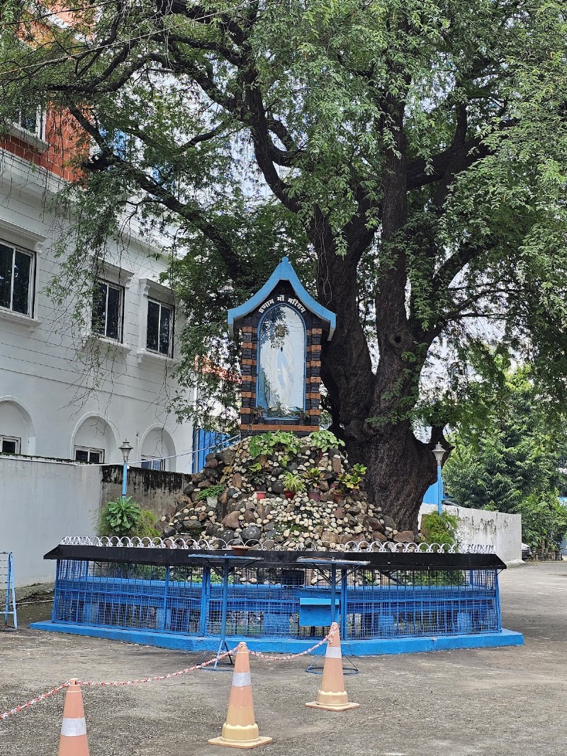 St. Joseph's Cathedral - St. Joseph's Cathedral, 6JMV+M5R, Byron Bazar Rd, Byron Bazar, Janta Colony, Raipur, Chhattisgarh 492001, India