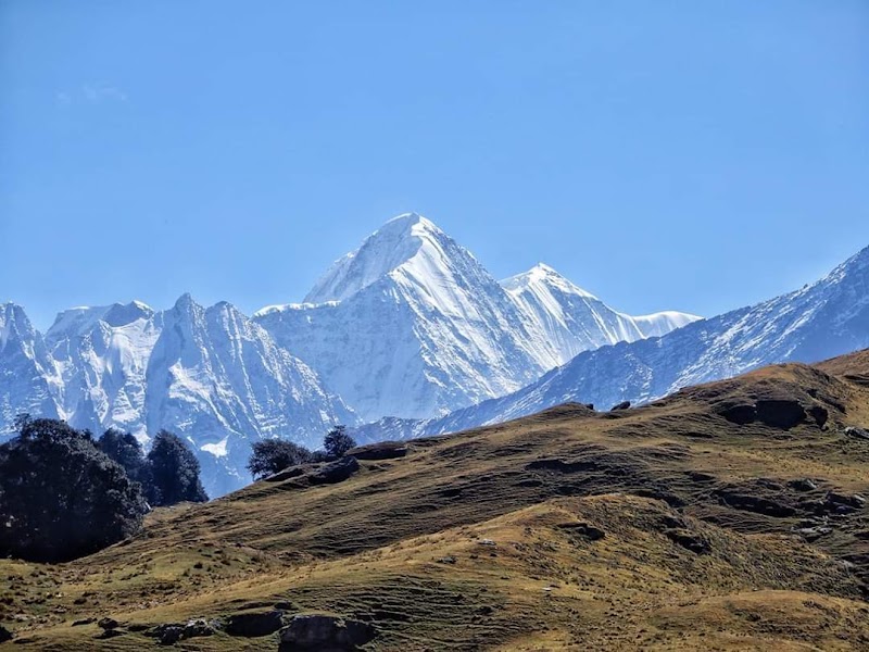 Gurson Bugyal - Gurson Bugyal, GH67+J67, Auli Laga Salude, Uttarakhand 246443, India