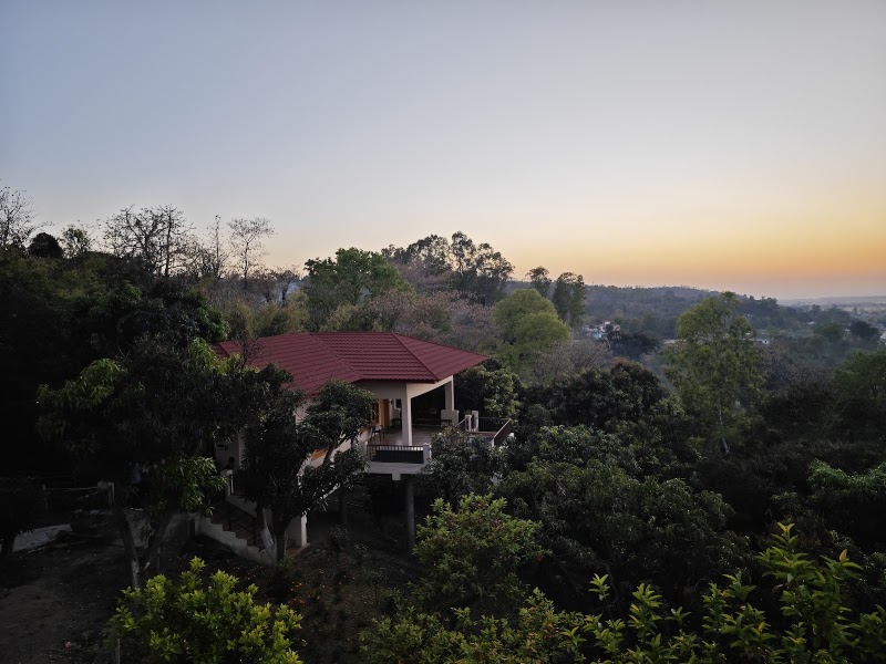 HillTop Orchard - HillTop Orchard, Mandi - Pathankot Rd, Raja Ka Bagh, Basa, Himachal Pradesh 176201, India