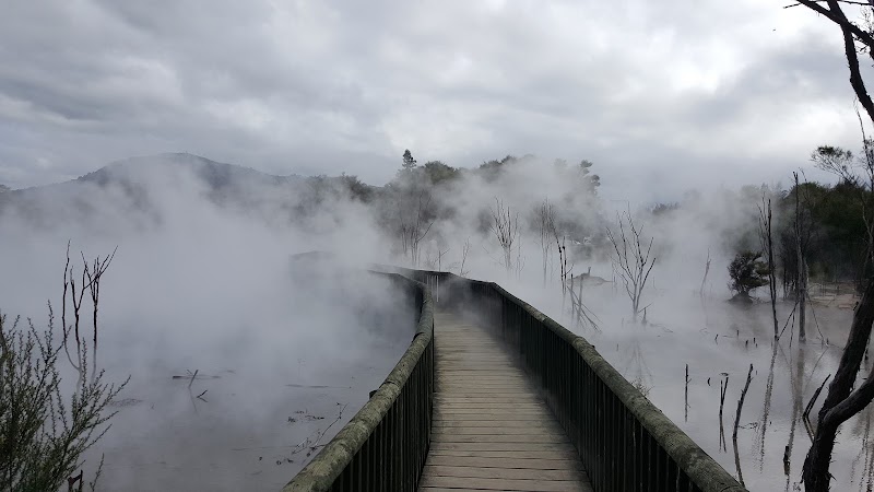 Kuirau Park - Mud Pools