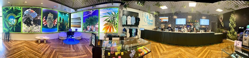 Cloud Nine Dispensary - Cloud Nine Dispensary 513 US-22, North Plainfield, NJ 07060, USA