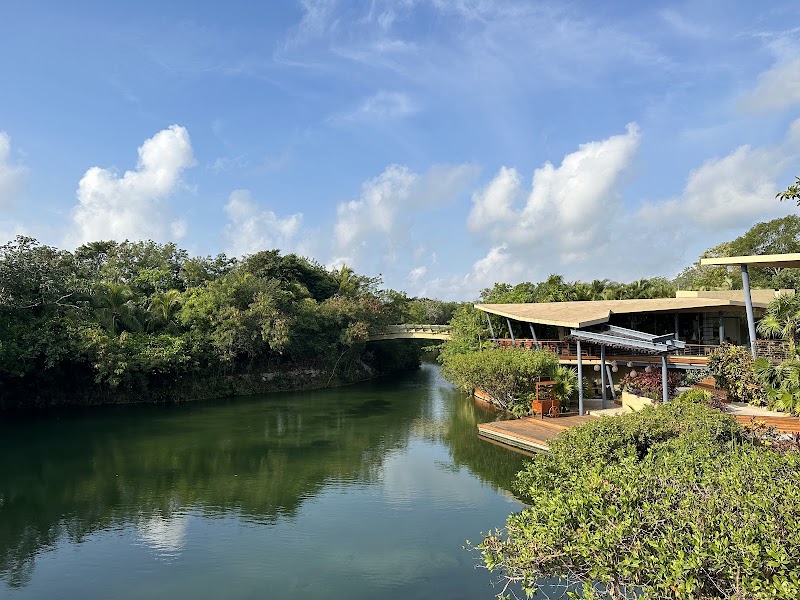 El Camaleón Golf Course at Mayakoba - El Camaleón Golf Course at Mayakoba Carretera Fed. Chetumal Pto. Juárez Km. 298, 77710 Playa del Carmen, Q.R., Mexico