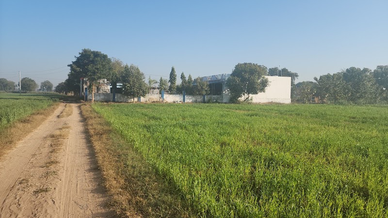 Jodh farm - Jodh farm, 7Q69+QHJ, Dhanap, Gujarat 382321, India