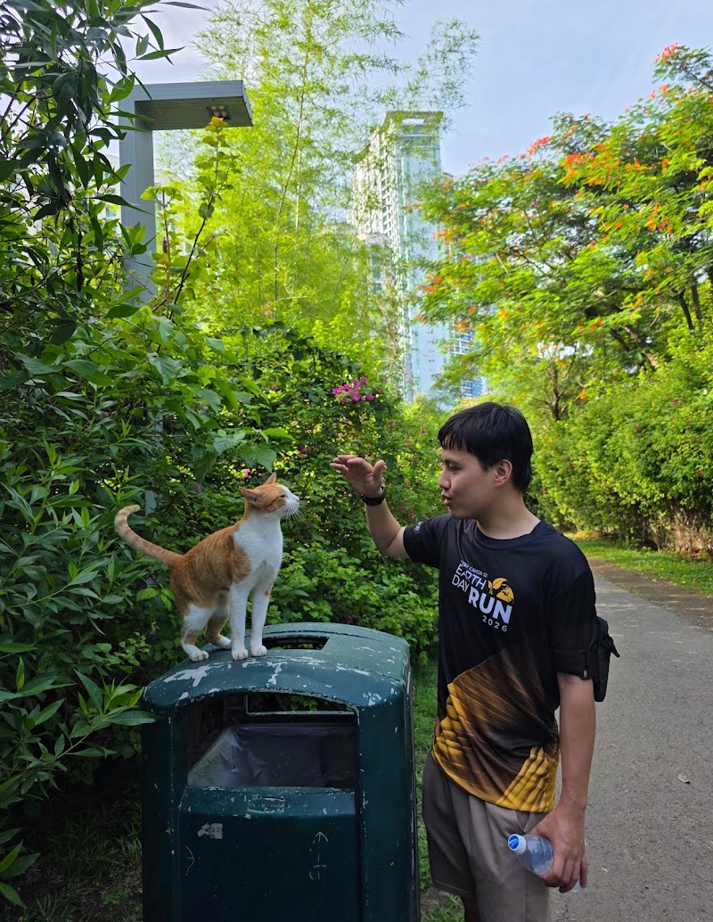 BGC Greenway Park - BGC Greenway Park, 130 McKinley Rd, Taguig, Metro Manila, Philippines