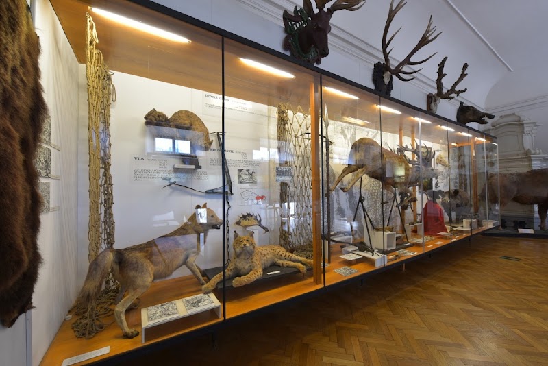 Muzeum lesnictví, myslivosti a rybářství – zámek Ohrada - Muzeum lesnictví, myslivosti a rybářství – zámek Ohrada, Ohrada 17, 373 41 Hluboká nad Vltavou, Czechia