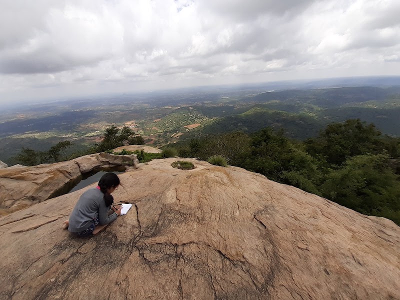 Bilikal Forest - Bilikal Forest Bilikal Forest, Karnataka 562121, India