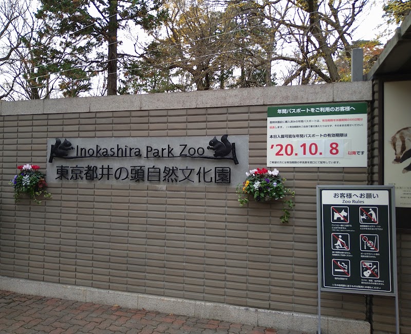 Inokashira Park Zoo - Inokashira Park Zoo, 1-chōme-17-6 Gotenyama, Musashino, Tokyo 180-0005, Japan