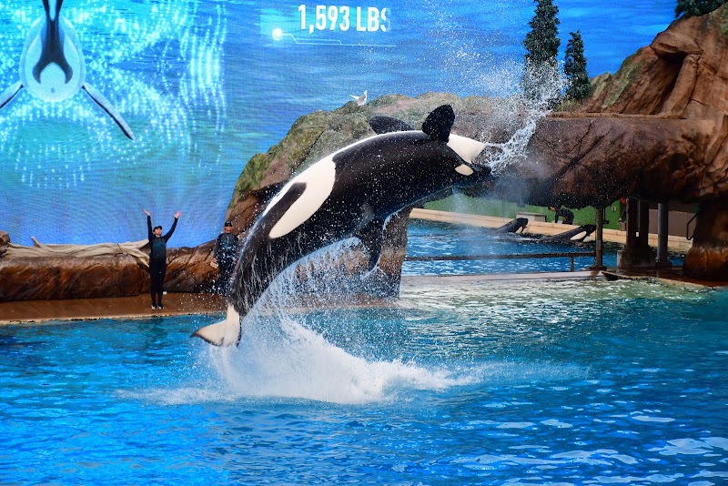 SeaWorld San Diego - SeaWorld San Diego 500 Sea World Dr., San Diego, CA 92109, USA