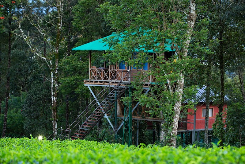 Dream Catcher Plantation Resort - Dream Catcher Plantation Resort, Tea Company,Bisonvalley Road, Rathnagiri, Kerala 685565, India
