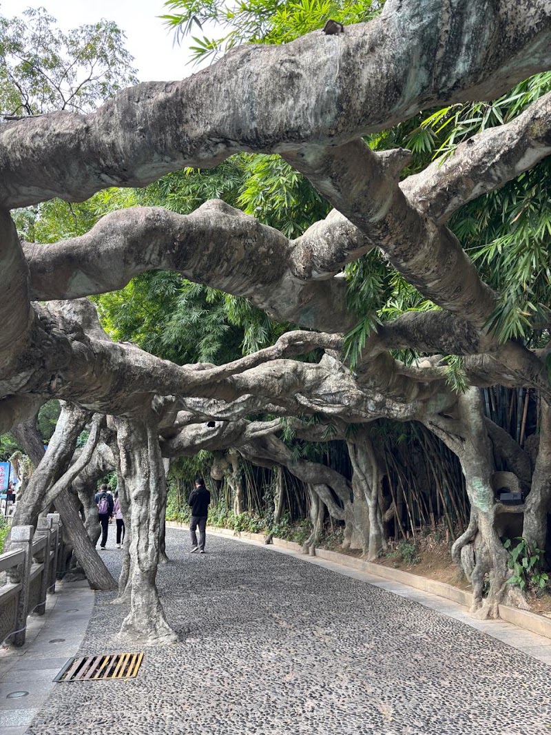 Elephant Trunk Hill - Elephant Trunk Hill, 778V+Q8C, Xiangshan District, Guilin, Guilin, Guangxi, China, 541000