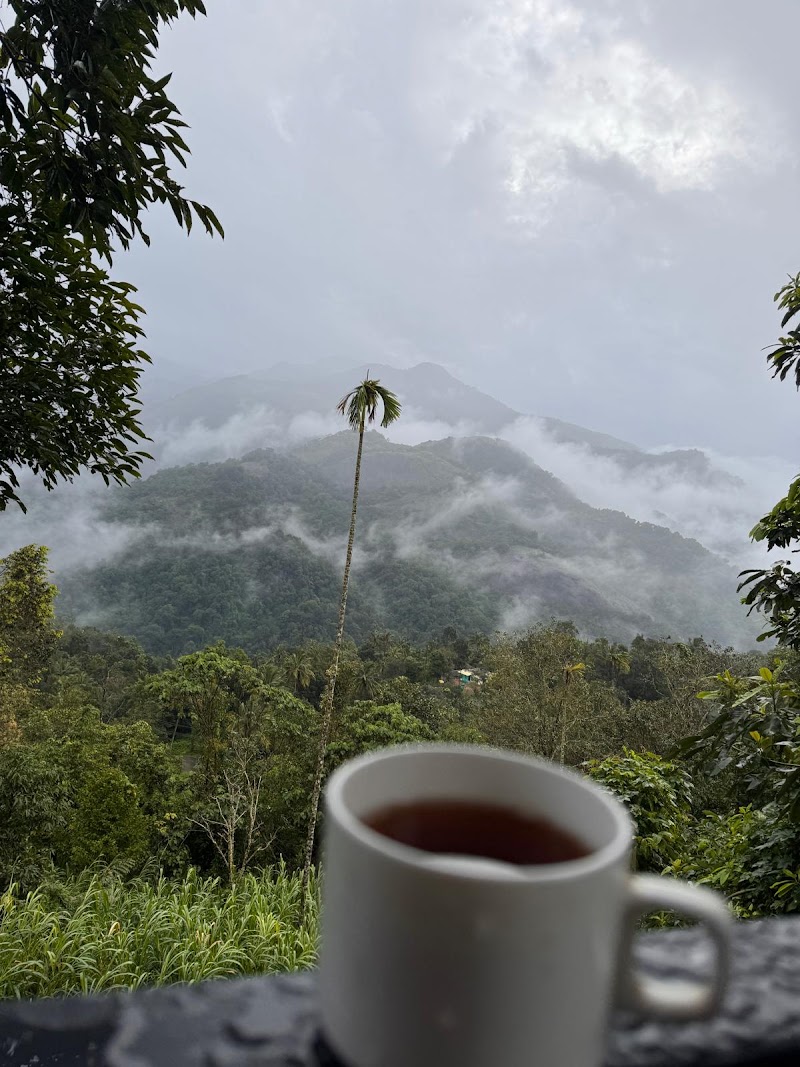 Wayanad Tripadvisor LLP - Wayanad Tripadvisor LLP, Door no 684 Thanhilode, po, Meppadi, Vellarimala, Keralam 673577, India