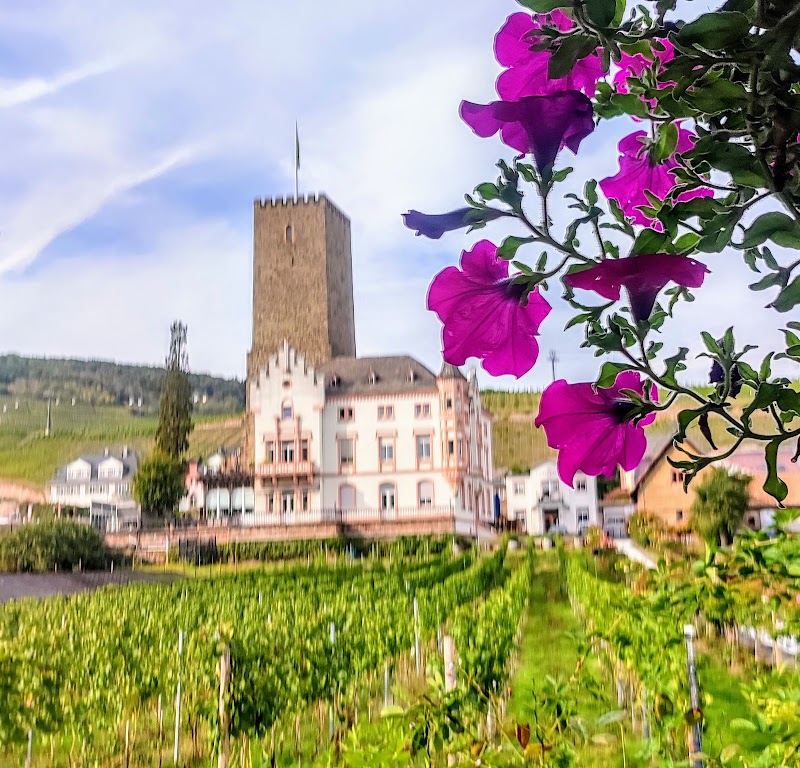 Rüdesheim am Rhein - Rüdesheim am Rhein, 65385 Rüdesheim am Rhein, Germany