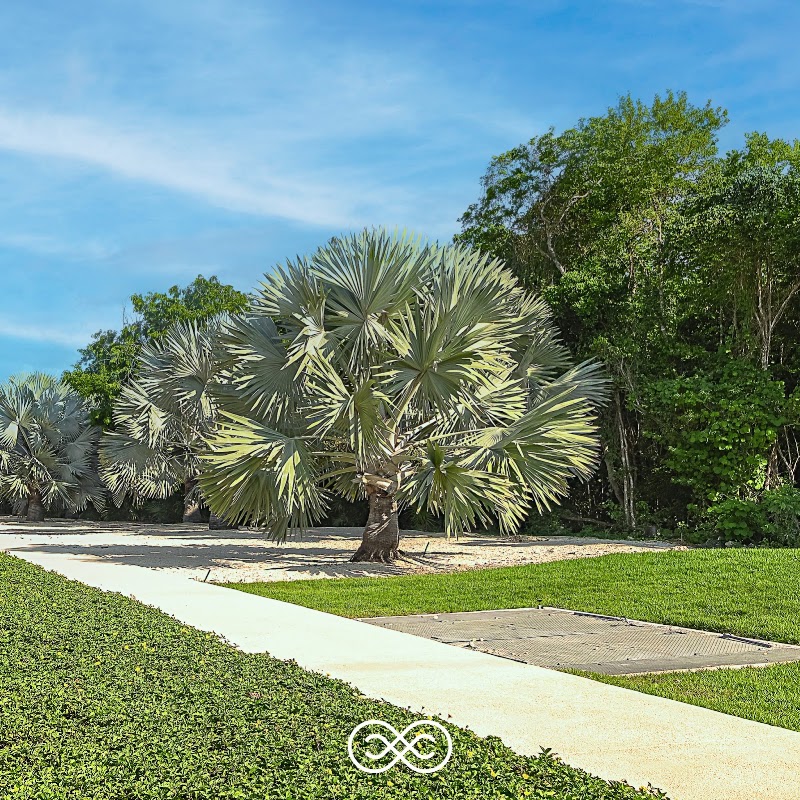 Mayakoba Country Club - Mayakoba Country Club Carretera Federal, Cancun - Chetumal km 299, 77500 Playa del Carmen, Q.R., Mexico
