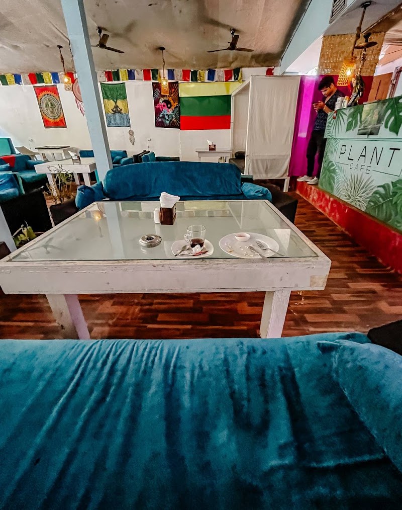 Plant Cafe - Plant Cafe Morjim Beach Road, Morjim, Goa 403512, India