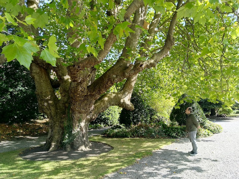Fitzwilliam Square - Fitzwilliam Square, 2 Fitzwilliam Pl, Dublin, D02 K227, Ireland