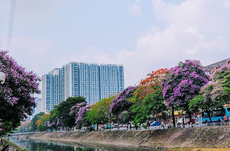 Kim ngưu - Kim ngưu 57 P. Kim Ngưu, Vĩnh Tuy, Hà Nội, Vietnam