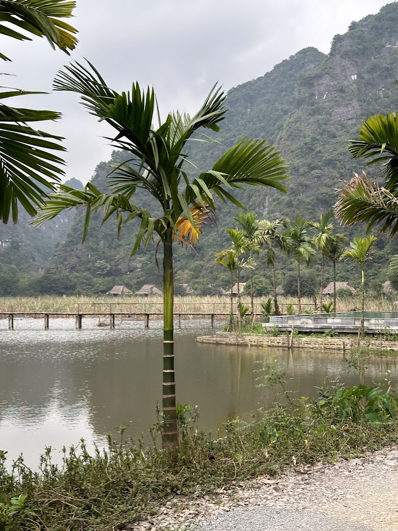 Ninh Binh Countryside Homestay - Ninh Binh Countryside Homestay, Khu Đồng cùng, Thôn khê thượng, Hoa Lư, Ninh Bình, Vietnam