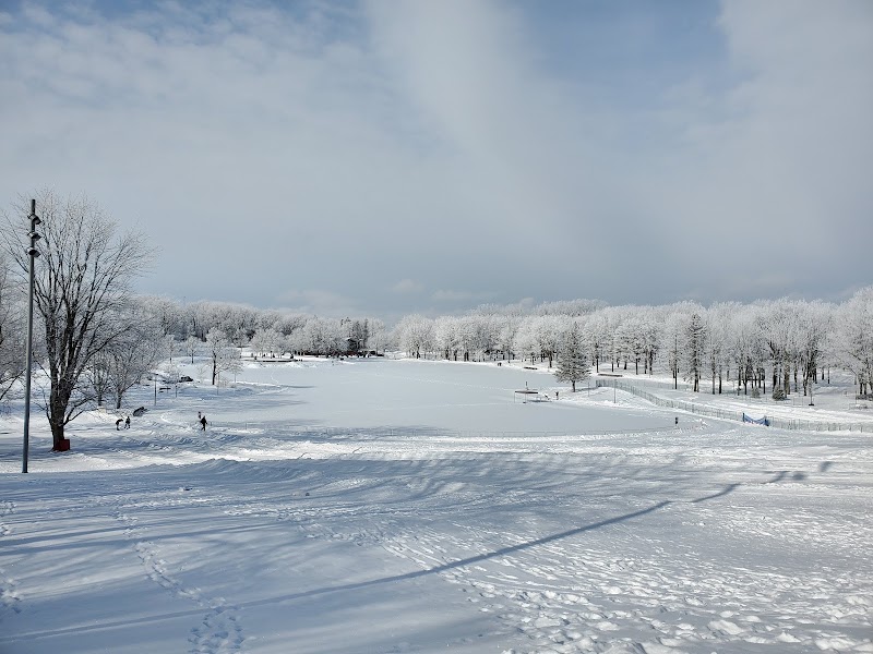 Mount Royal Park - Mount Royal Park, 1260 Chem. Remembrance, Montréal, QC H3H 1A2, Canada