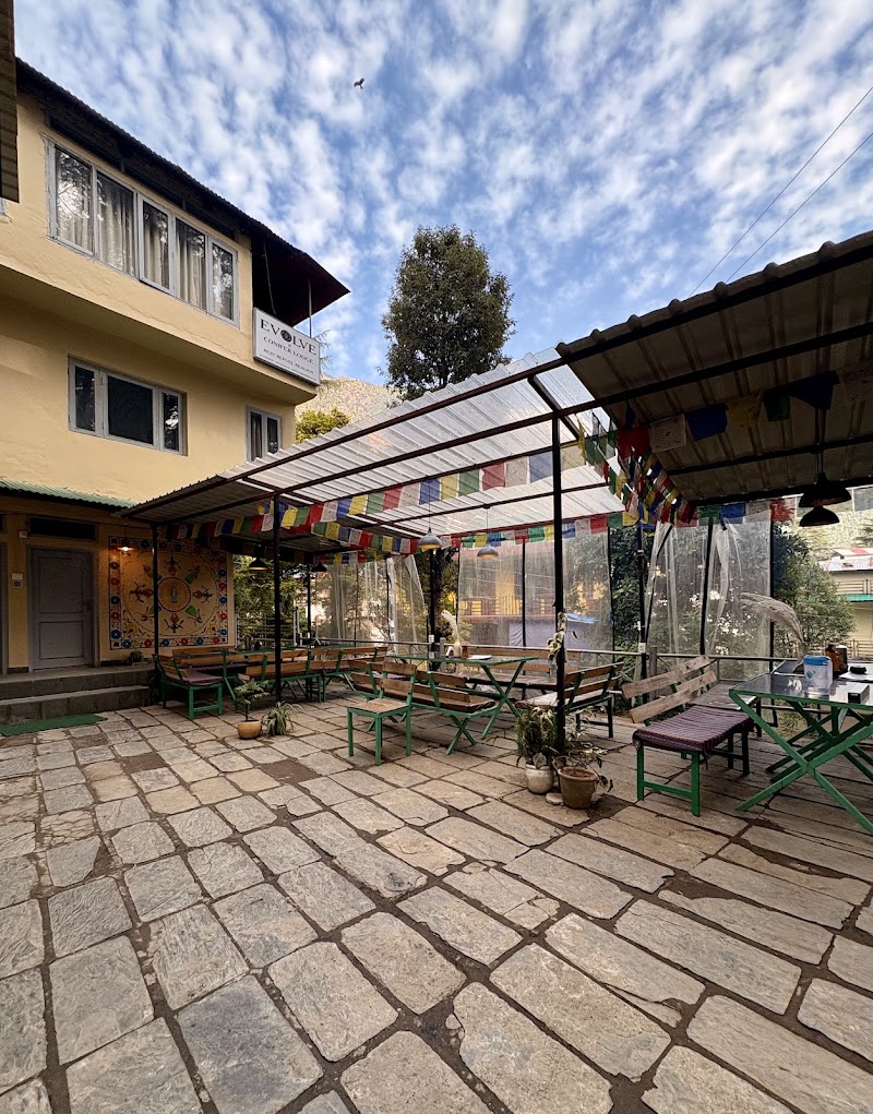 EEVOLVE An Eco - Hostel & Cafe - EEVOLVE An Eco - Hostel & Cafe Dharamkot Rd, Dharamkot, Dharamshala, Himachal Pradesh 176216, India
