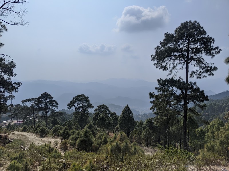 Sweet Sunrise Home Stay Guest House - Sweet Sunrise Home Stay Guest House goyoun, Lansdowne, Gounu, Uttarakhand 246155, India