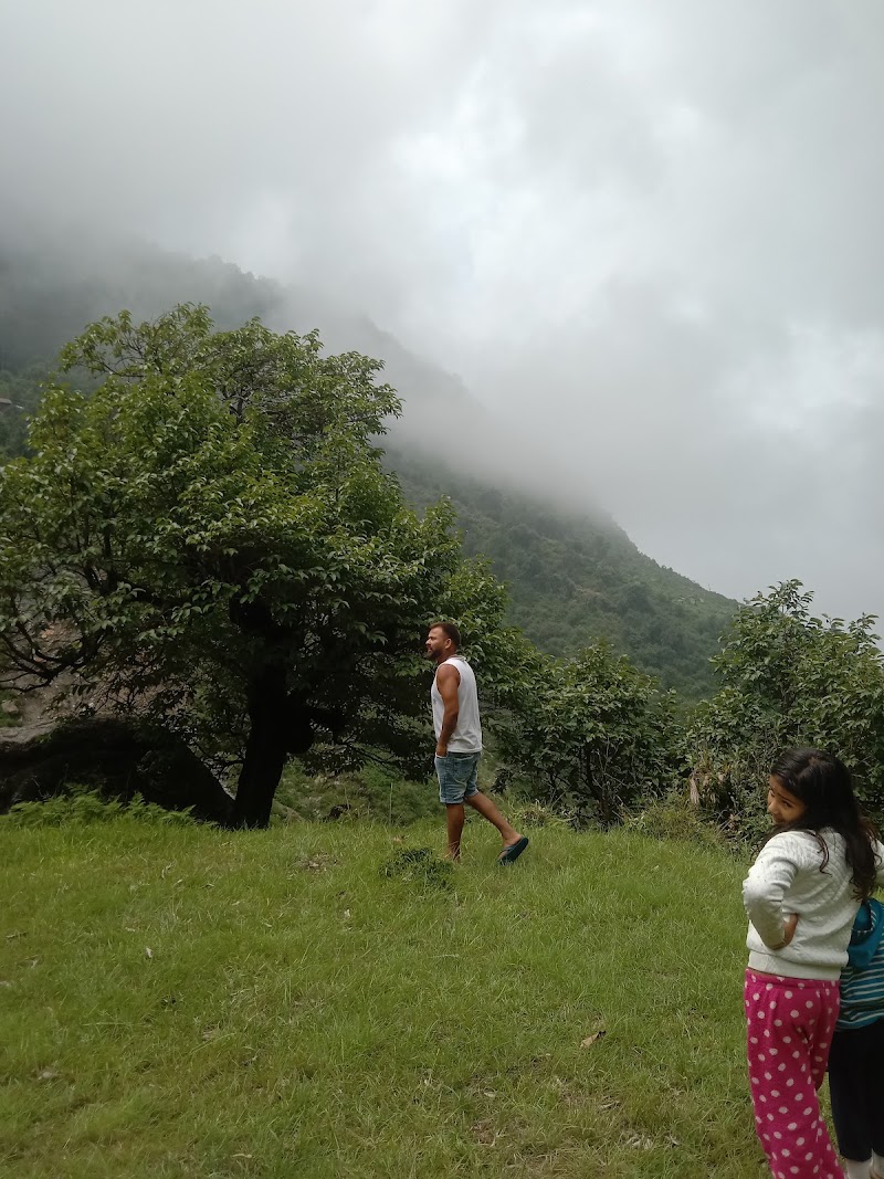 Bir Billing Nature Cafe & Camping - Bir Billing Nature Cafe & Camping, 2QW3+QR, Bunhla Marhola, Himachal Pradesh 175032, India