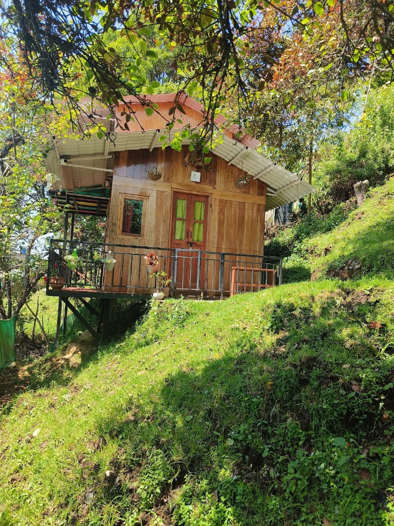 Wooden cabin 3.0 - Wooden cabin 3.0 6F8M+8R8, 2/110, Dolphin Nose Road, Vattakanal, Kodaikanal, Tamil Nadu 624101, India
