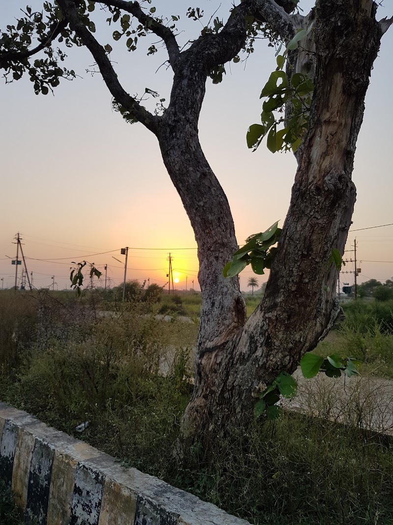 Sunset point