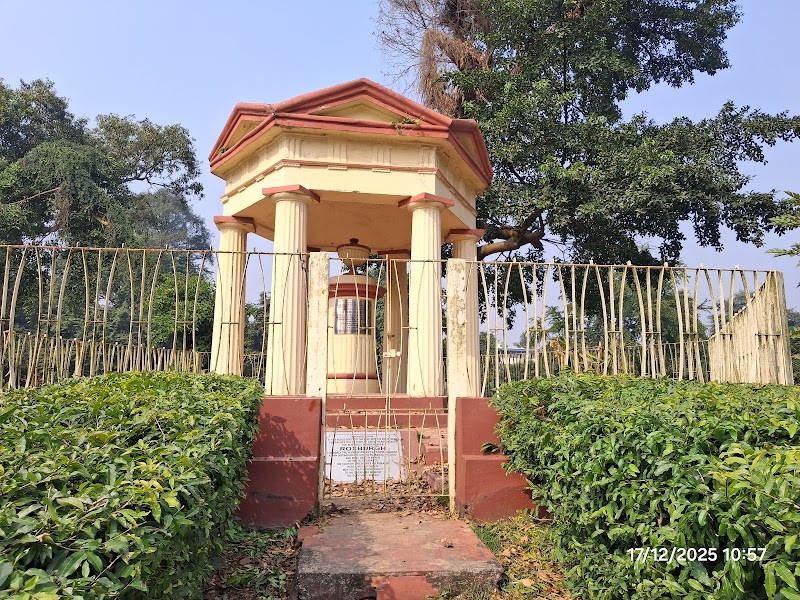The Great Banyan Tree - The Great Banyan Tree B. Garden New Gate, Shibpur, Howrah, West Bengal 711103, India