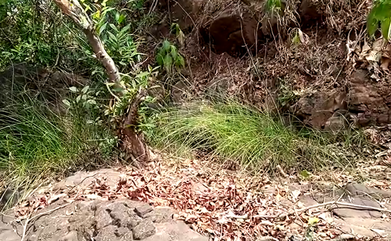Bhatsa Vally - Bhatsa Vally, G9GH+582, Unnamed Road, Birwadi, Maharashtra 421603, India