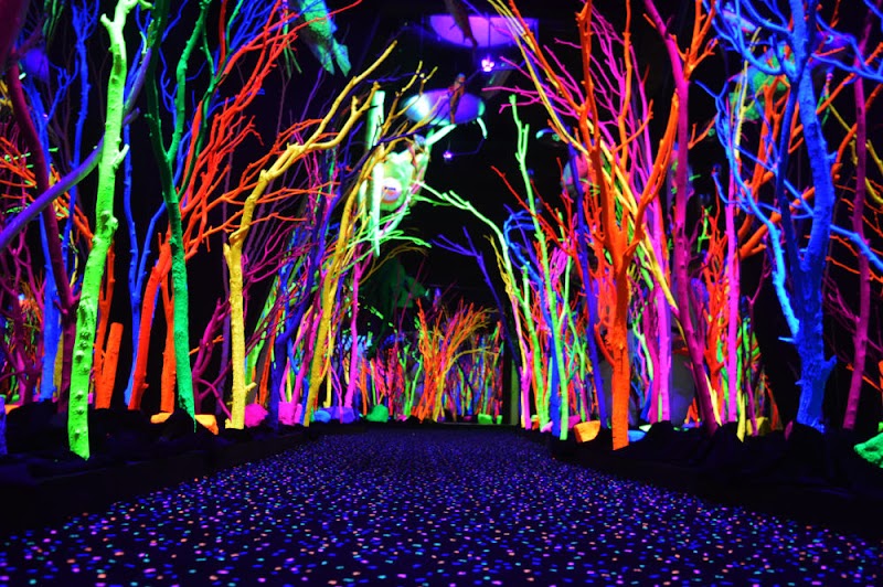 Meow Wolf Santa Fe's House of Eternal Return - Meow Wolf Santa Fe's House of Eternal Return, 1352 Rufina Cir, Santa Fe, NM 87507, USA