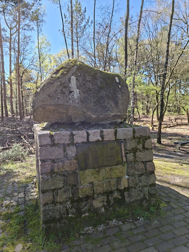 Somerense Heide - Somerense Heide, 5711 RJ Someren, Netherlands